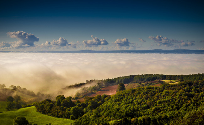 Обои картинки фото природа, лес, деревья, облака, небо, пейзаж