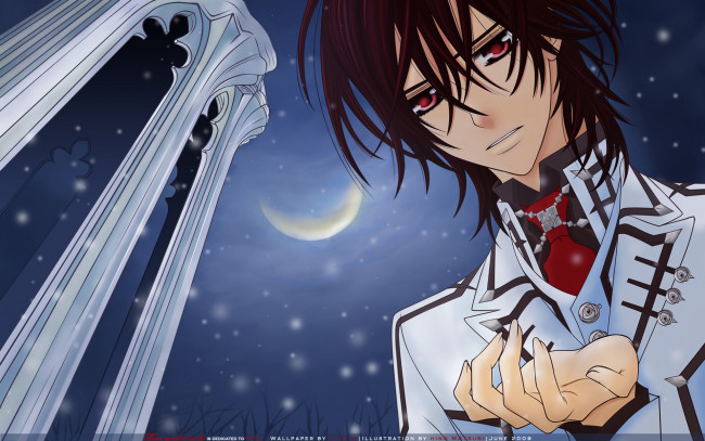 Обои картинки фото аниме, vampire knight, kuran, kaname, мужчина, ночь, луна, снег, рука, беседка, деревья