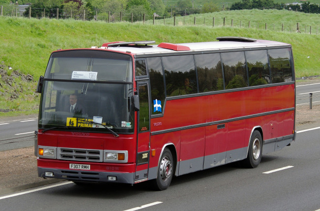 Обои картинки фото автомобили, автобусы, автобус, туристический