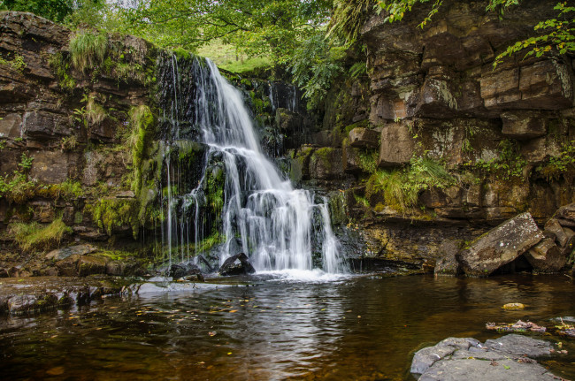 Обои картинки фото природа, водопады, водопад, река, лес