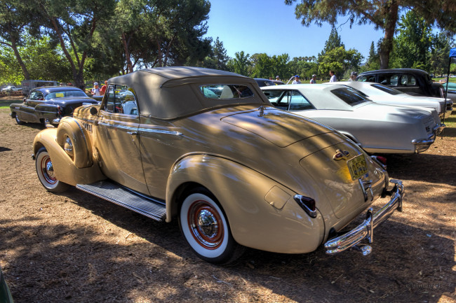 Обои картинки фото 1938 buick century, автомобили, выставки и уличные фото, автошоу, выставка