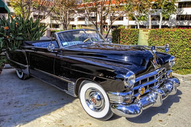 Обои картинки фото 1949 cadillac convertible, автомобили, выставки и уличные фото, выставка, автошоу