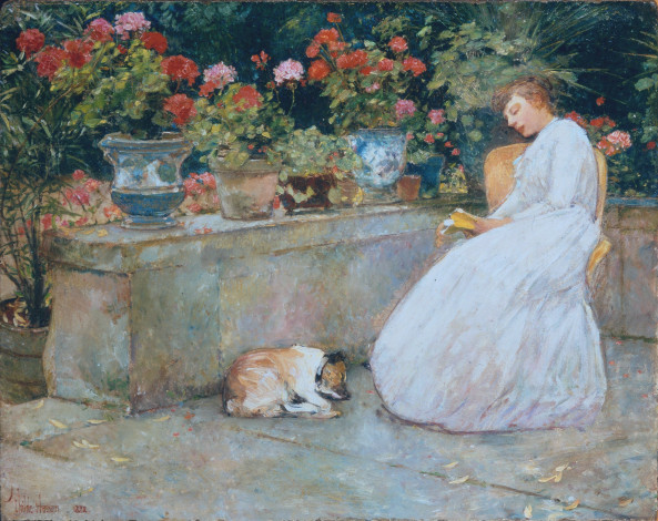 Обои картинки фото reading, рисованное, frederick childe hassam, чтение, книга, дама, собака, терраса, цветы, горшки