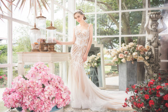 Картинка девушки -unsort+ невесты невеста платье праздник свадьба красотка