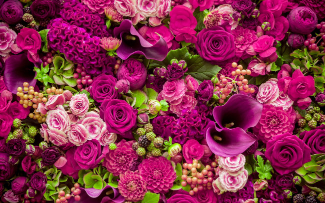 Обои картинки фото цветы, разные вместе, roses, purple, romantic, pink, бутоны, розовые, розы, flowers, beautiful