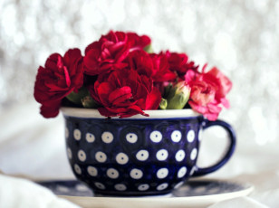 обоя цветы, гвоздики, чашка, букет