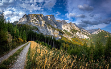 обоя природа, горы, дорога, лес, осень, трава