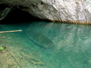 Картинка природа