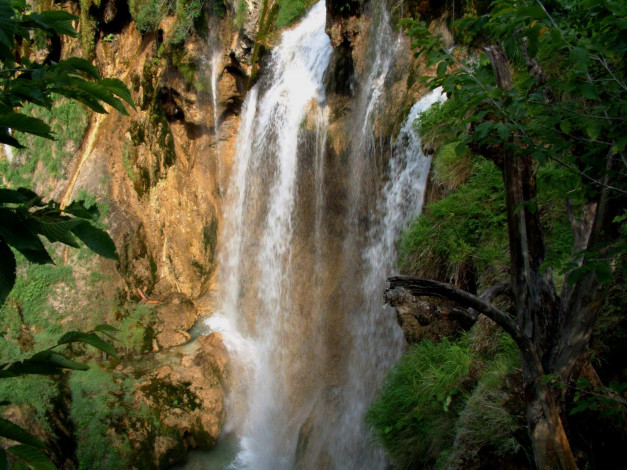 Обои картинки фото природа