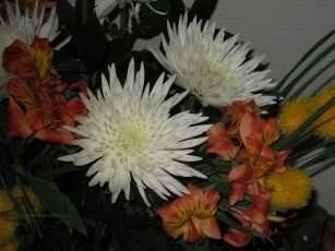 Картинка цветы букеты композиции