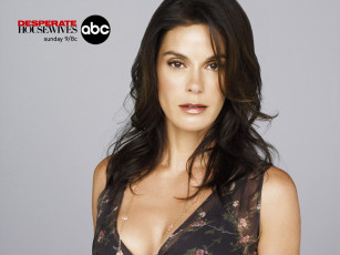 Картинка кино фильмы desperate housewives