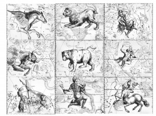 Картинка зодиак разное знаки зодиака