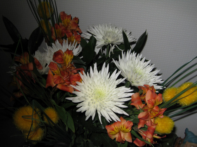 Обои картинки фото цветы, букеты, композиции