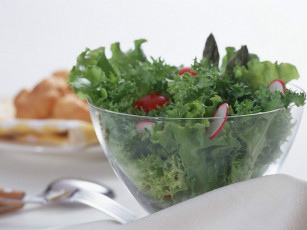 Картинка еда салаты закуски