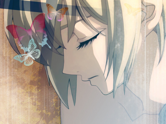 Обои картинки фото аниме, trinity, blood