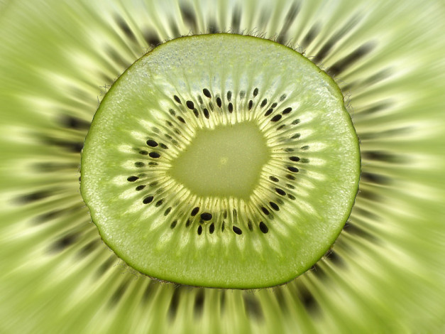 Обои картинки фото еда, киви