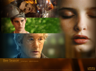 Картинка bee season кино фильмы