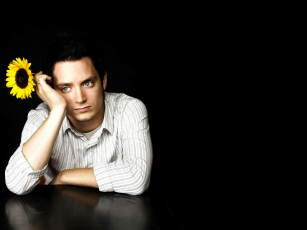 Картинка elijah wood мужчины