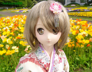 обоя разное, игрушки, кукла