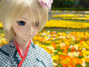 обоя разное, игрушки, кукла