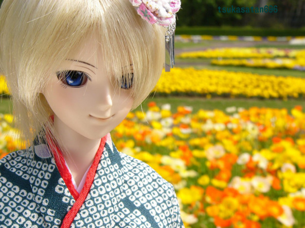 Обои картинки фото разное, игрушки, кукла