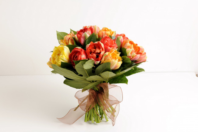 Обои картинки фото цветы, тюльпаны, бант, букет