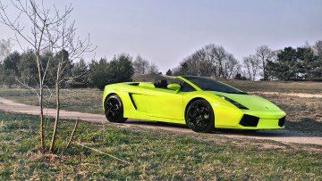 Картинка автомобили lamborghini природа gallado spyder салатовый ламборгини