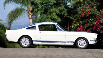 Картинка ford mustang автомобили автомобиль сша культовый motor company