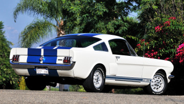 Картинка ford mustang автомобили сша автомобиль культовый motor company