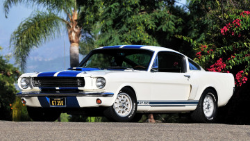 Картинка ford mustang автомобили сша автомобиль культовый motor company