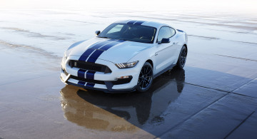 обоя автомобили, mustang, 2015г, shelby, gt350, светлый