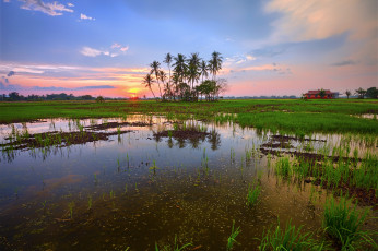 Картинка природа восходы закаты рассвет