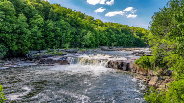 Картинка природа реки озера лес река