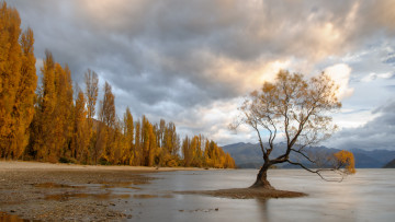 Картинка природа реки озера река лес