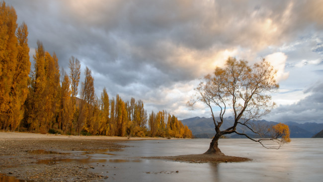 Обои картинки фото природа, реки, озера, река, лес