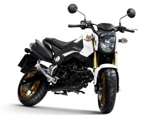 Картинка мотоциклы honda