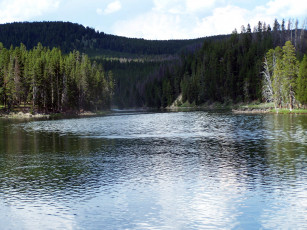 Картинка природа реки озера деревья гора лес река