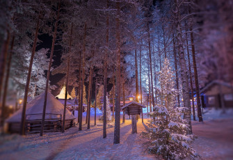 Картинка природа зима снег