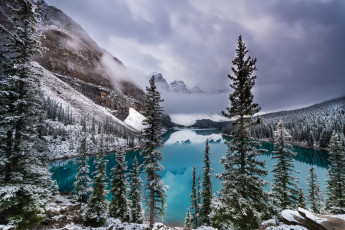 Картинка природа реки озера река лес