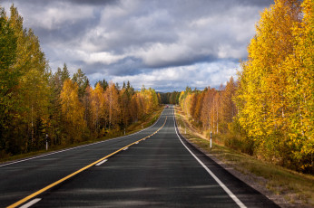 Картинка природа дороги тракт