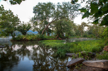 Картинка природа реки озера река лес