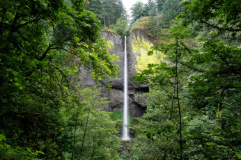 Картинка природа водопады водопад лес река