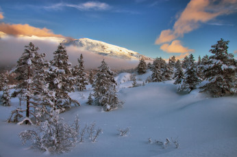 Картинка природа зима снег