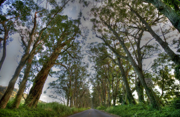 Картинка природа дороги тракт