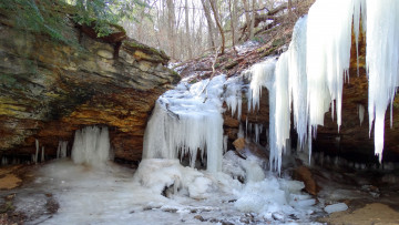 Картинка природа водопады река водопад лес