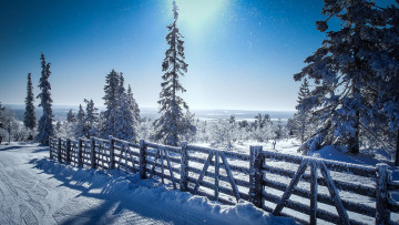 Картинка природа зима снег