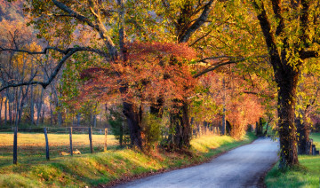 Картинка природа дороги тракт