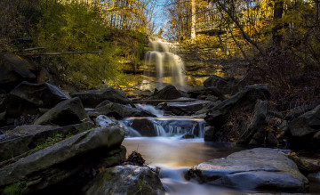 Картинка природа водопады водопад река лес