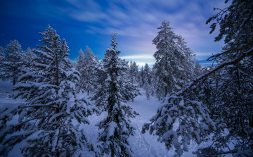 Картинка природа зима снег