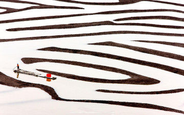 Картинка природа поля плот человек острова вода поле